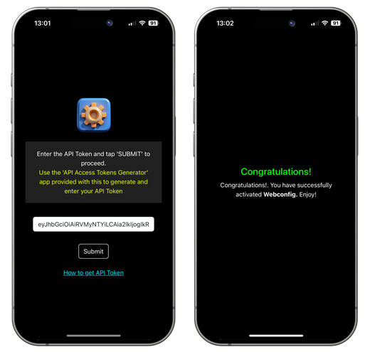 Paste the copied API token