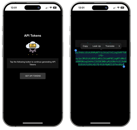GET API TOKENS