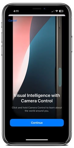 Visual Intelligence feature